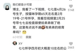 抖音娱乐吃瓜博主,带你领略娱乐圈幕后风云