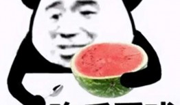 娱乐吃瓜酱废话文学