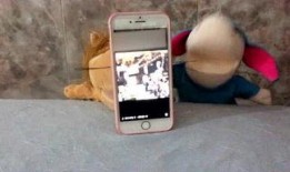 娱乐吃瓜酱监控,吃瓜酱独家监控揭秘