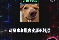 娱乐吃瓜上线