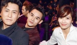 吃瓜两兄弟解说娱乐圈,吃瓜两兄弟的麻辣解说