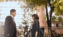 娱乐追剧吃瓜群众,娱乐追剧吃瓜群众的欢乐盛宴