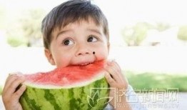 搞笑娱乐吃瓜君小说,笑料百出，瓜田奇遇记