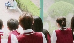 娱乐追剧吃瓜群众,娱乐追剧吃瓜群众的欢乐盛宴