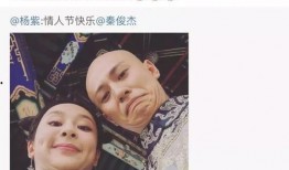 娱乐圈吃瓜张翰视频,揭秘明星幕后故事