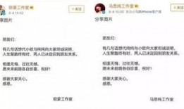 娱乐圈吃瓜张翰视频,揭秘明星幕后故事